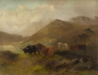Summertime on the Cheviots
