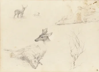 Sketchbook of Landscape and Animal Subjects, 1860-64