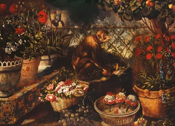 A Monkey in a Fenced Garden