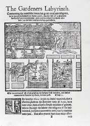 Arbour built as a shade against the sun and planting in raised beds, from The Gardeners Labyrinth, 1577