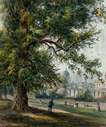 Greenwich Hospital from the park, June 1855