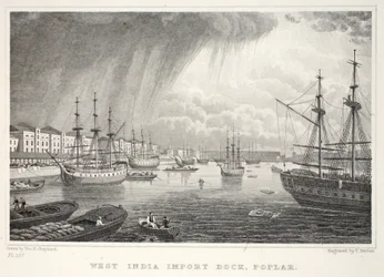 West India Docks, Isle of Dogs, from London and its Environs in the Nineteenth Century