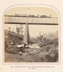 Section of the Long Ravine Bridge