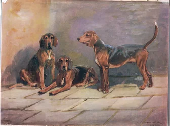 Dogs, illustration from 