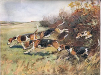 Following the Scent, illustration from 