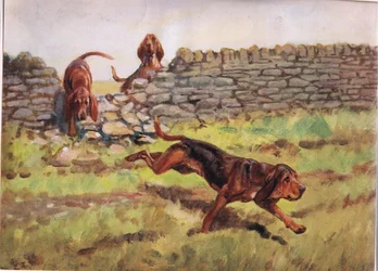 Over the Wall, Illustration from 
