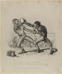 Monkeys Boxing, from Monkey-ana
