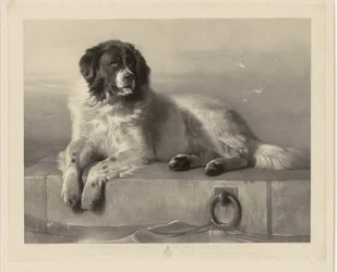 Portrait of the Rescue Dog Bob, Lying on a Pier (title on object: A Distinguished Member of the Humane Society)