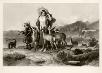 The Forester
