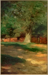 Farmhouse behind Large Tree