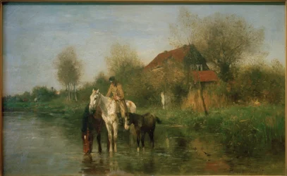 Horses by the Water