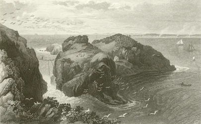 Carrick A Rede, Coast of Antrim, Ireland
