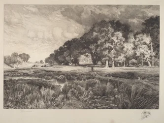 Long Island Landscape