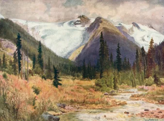Great Illecillewaet Glacier