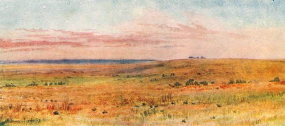 Out on the Prairies
