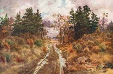 Road near the Bay of Fundy, Autumn