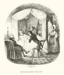 Illustration for Valentine Vox