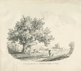 Arley - Shatterfort Height