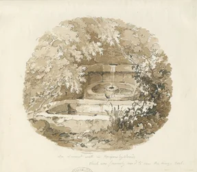 Biddulph - Ancient Well in Knypersley Woods