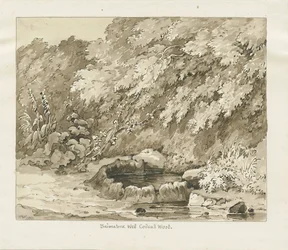 Codsall Wood - Brimstone Well: sepia drawing