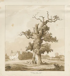 Eccleshall - Baden Old Hall