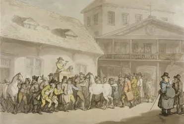 A Horse Sale in Hopkins