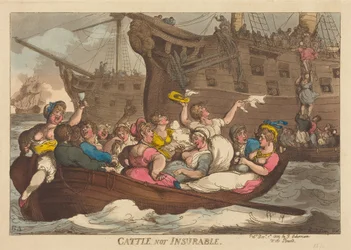 Cattle Not Insurable