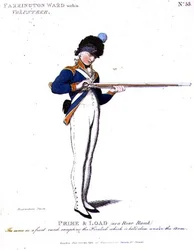 Farrington Ward within Volunteer, Plate 55 from 