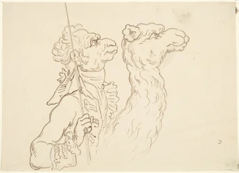 Man and Camel