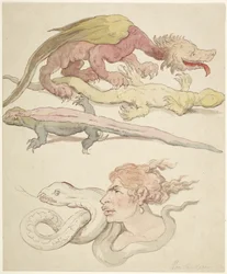 Reptiles