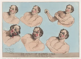 Six Stages of Marring a Face