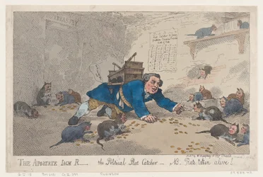 The Apostate Jack Robinson, The Political Rat Catcher-N.B. Rats Taken Alive!