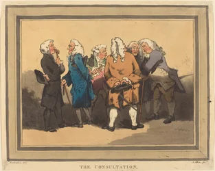 The Consultation