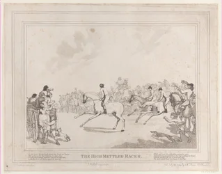 The Race Horse from The Life of a Racehorse, or The High-Mettled Racer, July 20, 1789