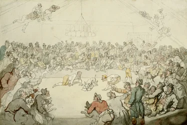The Westminster Pitt, 1798