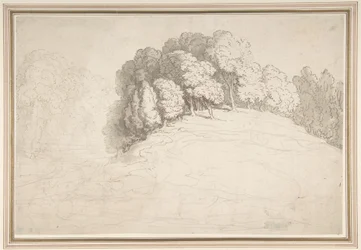 Wooded Hillside with Deer