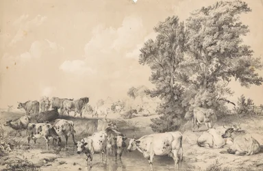 A Herd of Cattle on a Riverbank