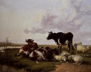 Cattle and Sheep Grazing