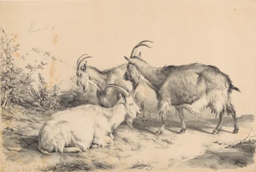 Three Goats