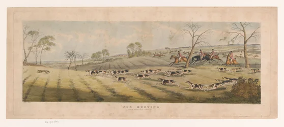 Pack of Foxhounds Hunting a Fox