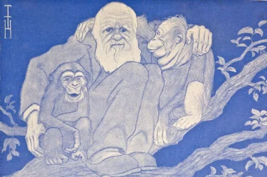 1909 Cartoon Darwin with Monkey (Detail)