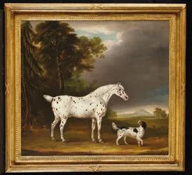 Appaloosa Horse and spaniel, 1807