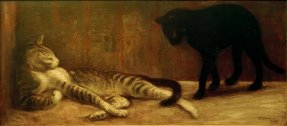 Tomcat and Female Cat
