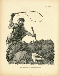 Illustration of Steinlen in The Wild Duck