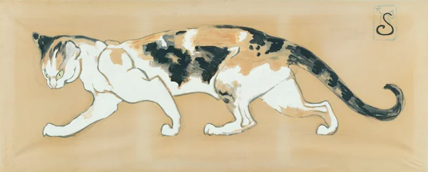 The Cat