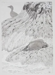 A Eider Duck and a Dead Bird on a Shore