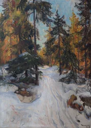 Forest Interior, Winter