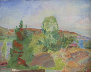 Midsummer. Landscape