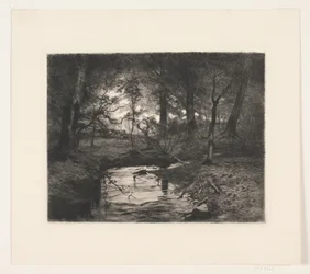 Stream in Borrevejle Forest