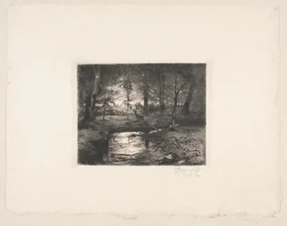 Stream in Borrevejle Forest